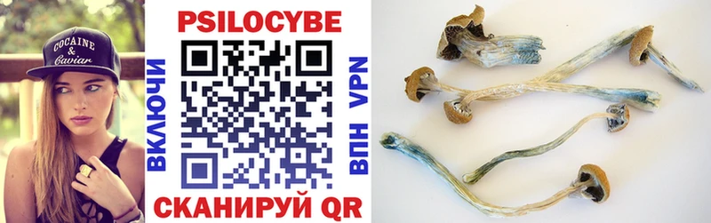 Псилоцибиновые грибы Magic Shrooms  Купить  Кириллов 